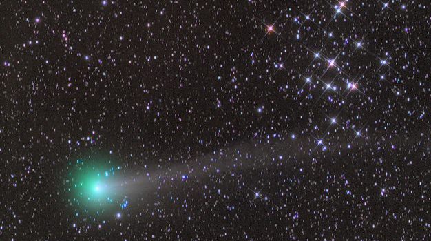 Kometa C/2013 R1 (Lovejoy). Foto: Damian Peach