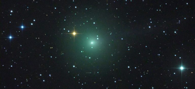 Přehled CCD a vizuálních pozorování – Únor 2019 Kometa C/2018 Y1 Iwamoto. Foto: Rolando Ligustri.